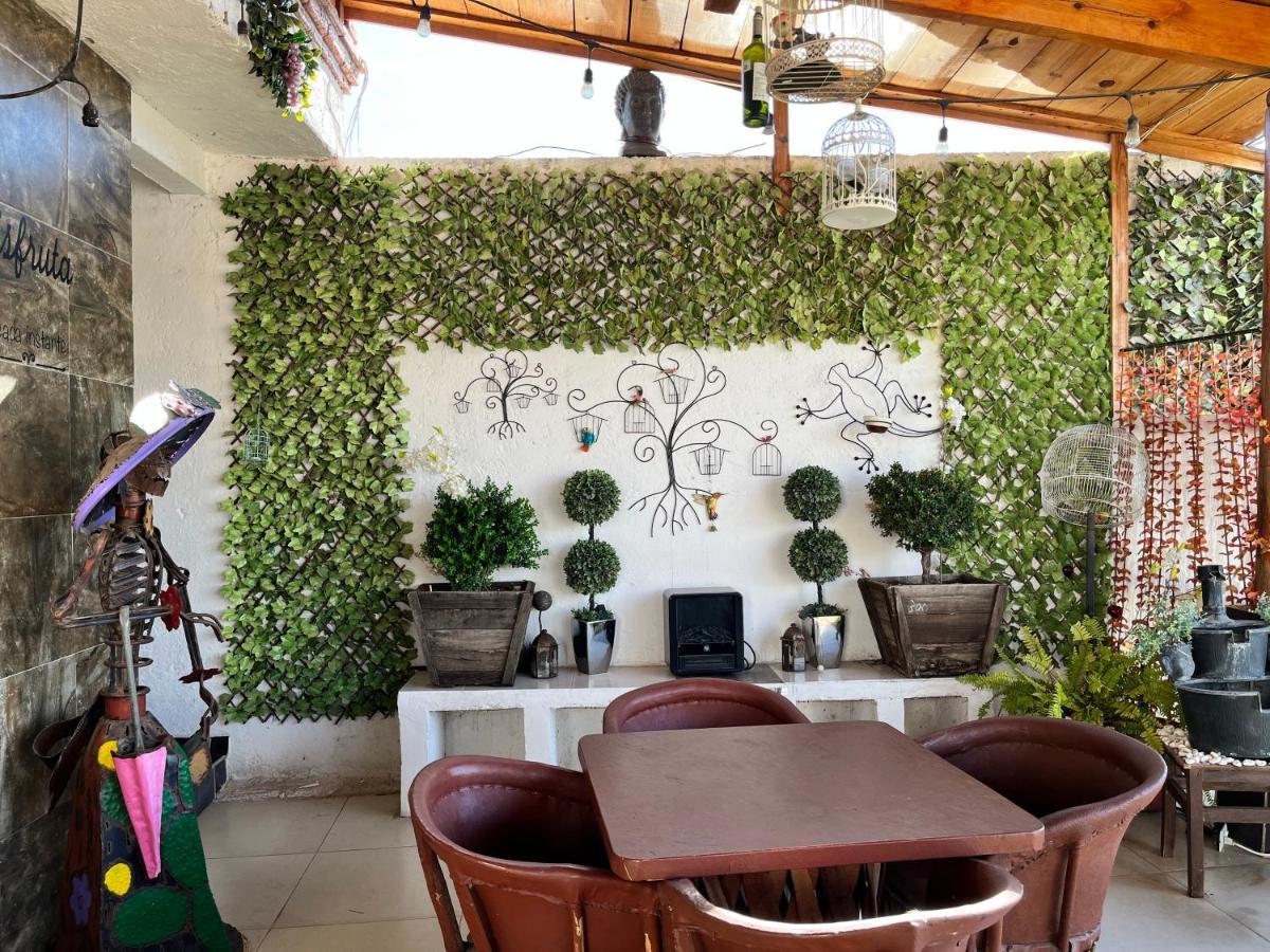 גואנאחואטו Hotel Casona De Las Aves מראה חיצוני תמונה